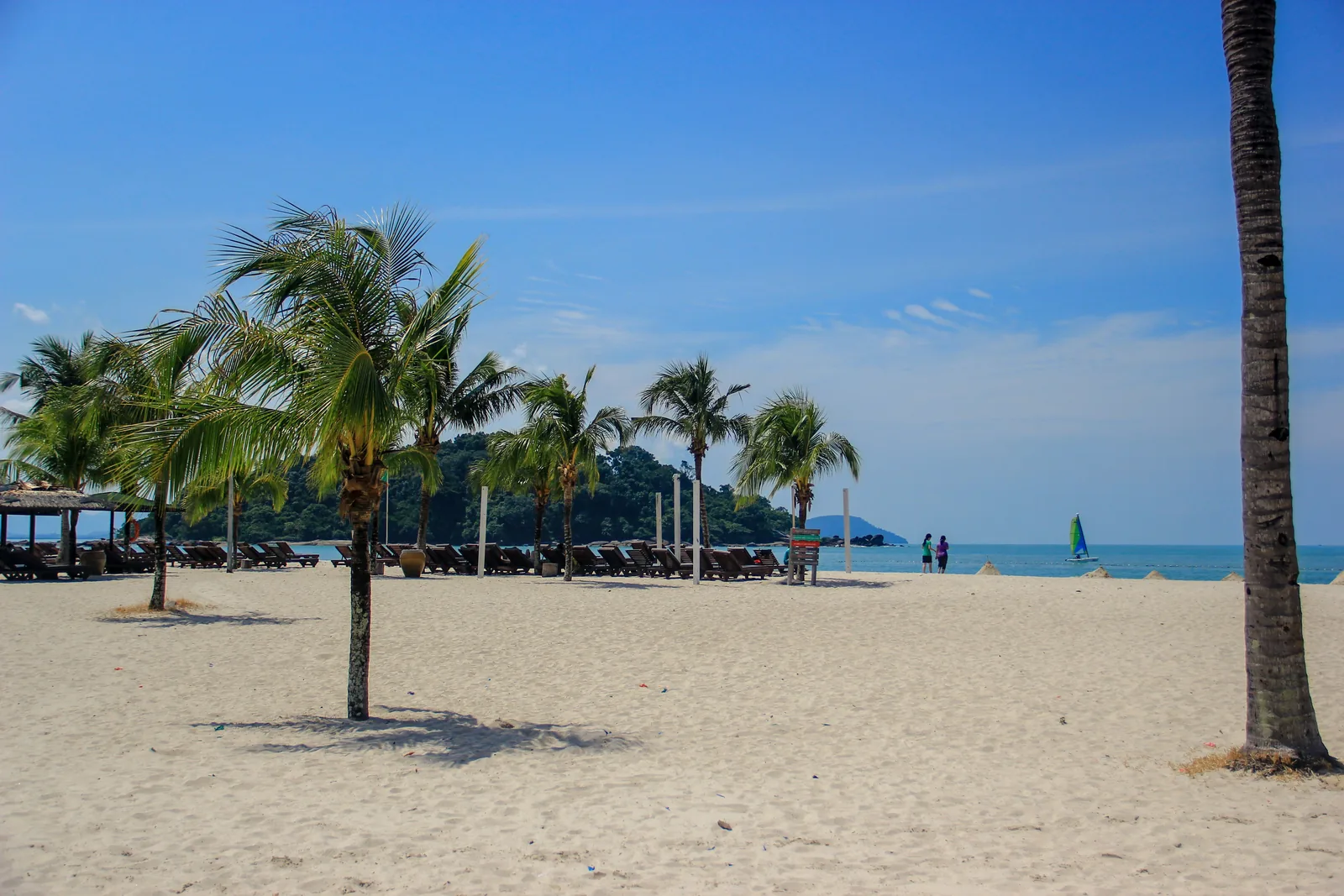 Palm trees, a sandy beach and the sea in Langkawi, Malaysia.